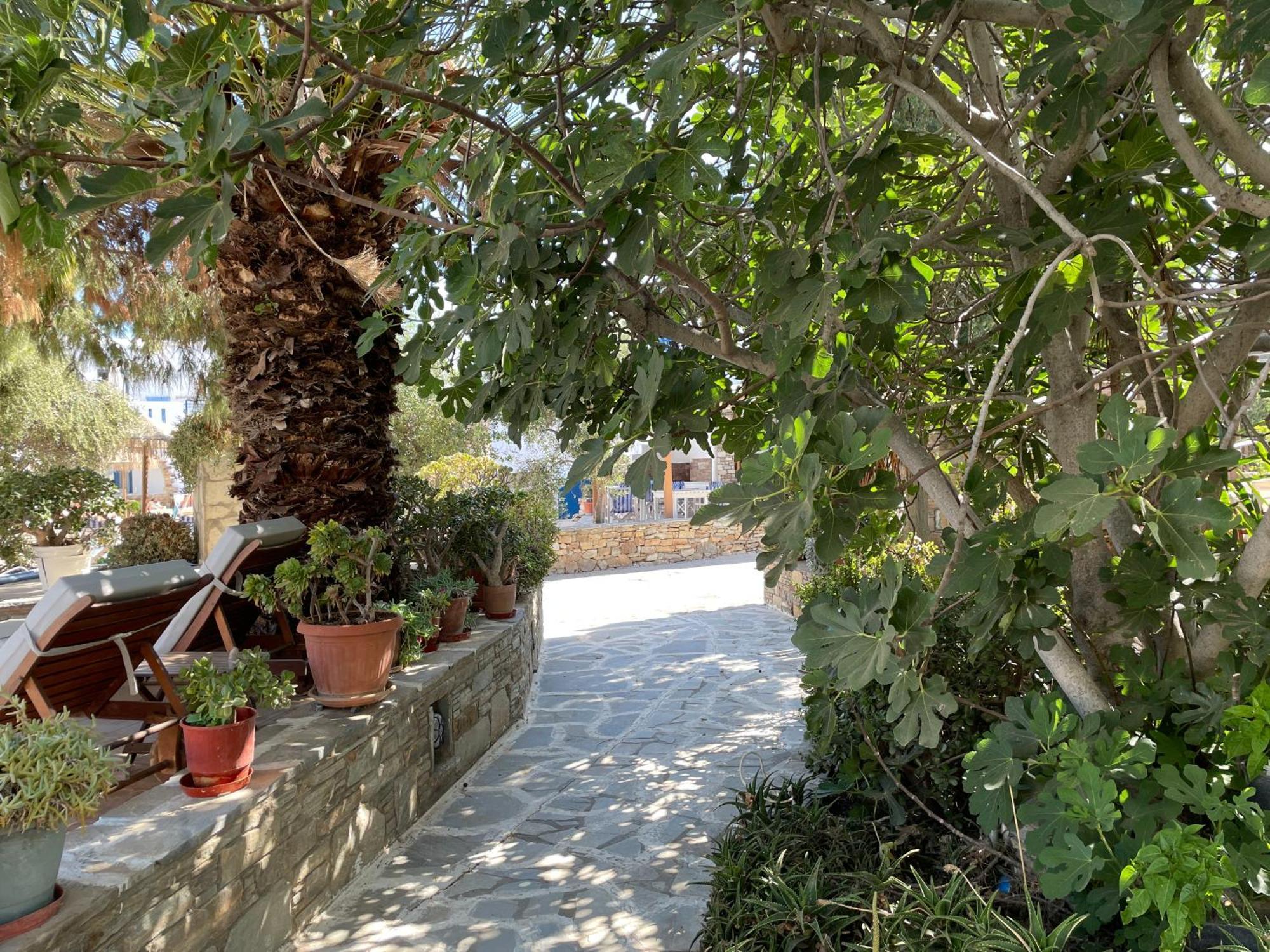 Ioanna Apartments Agios Prokopios  Zewnętrze zdjęcie